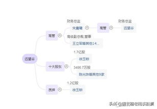 物聯(lián)網(wǎng)、射頻識別與計算機網(wǎng)絡技術(shù) 龍頭力量如何突破？